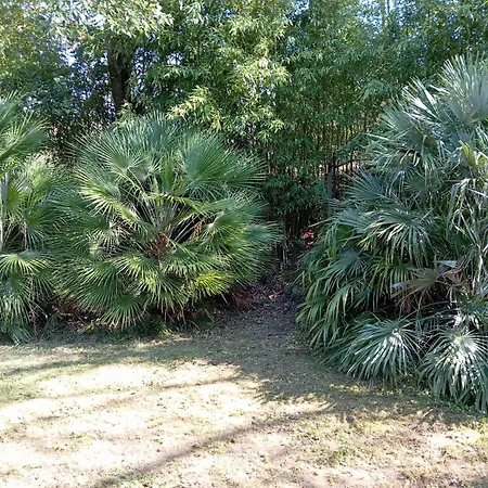 Maison Les Hirondelles