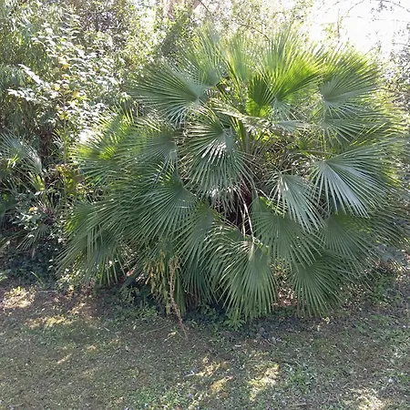 펜션 Maison Les Hirondelles