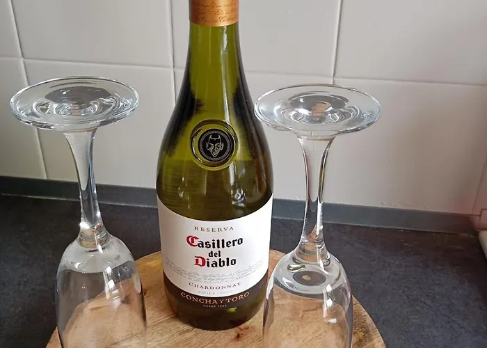 Maison Les Hirondelles * Carcassonne