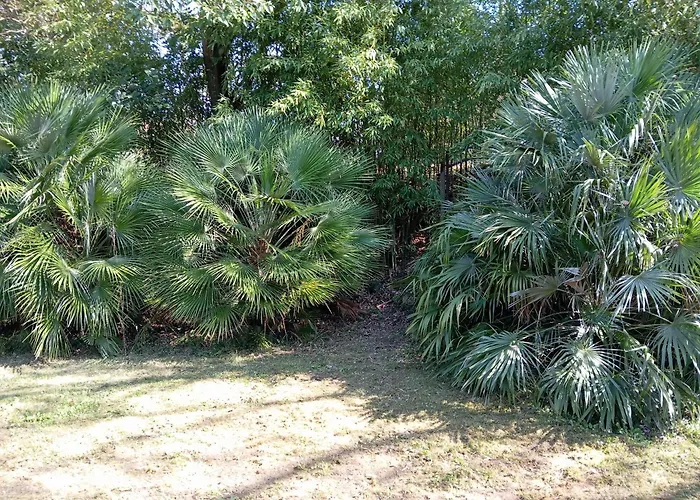 Maison Les Hirondelles