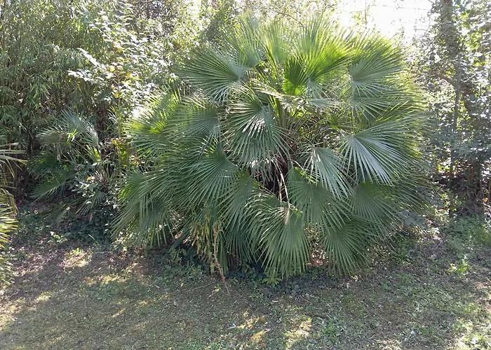 Nyaraló Maison Les Hirondelles